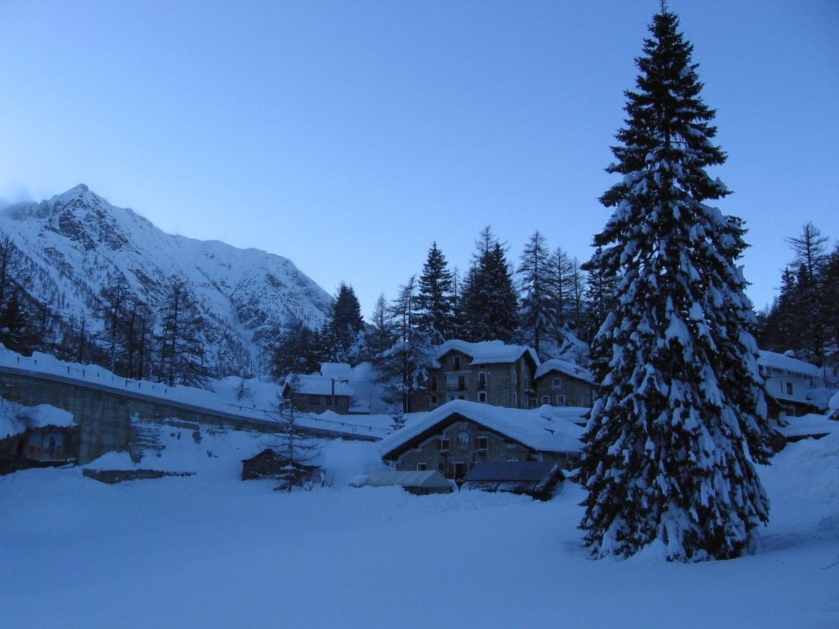 Chalet Del Lago Черезоле-Реале Экстерьер фото