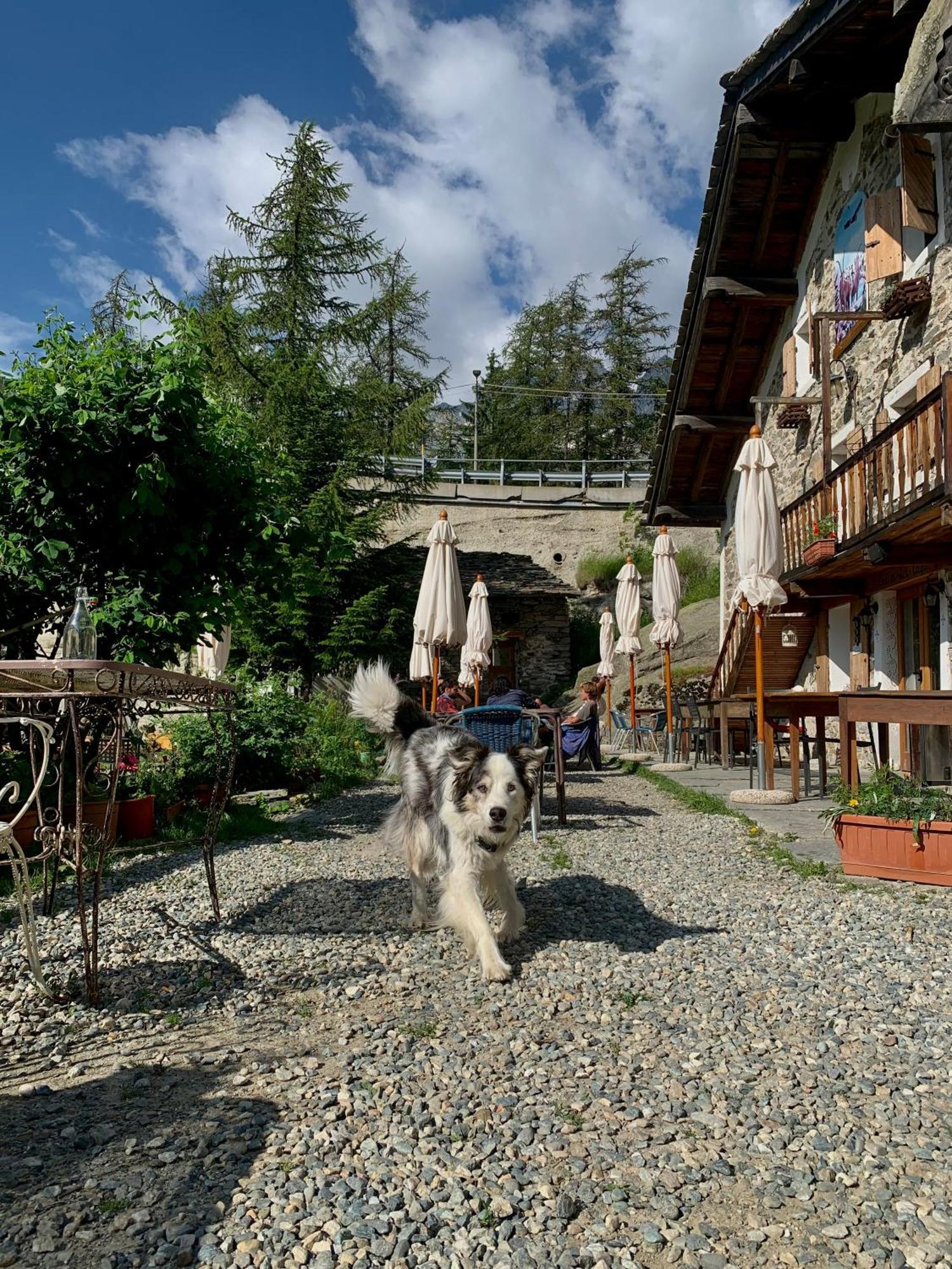 Chalet Del Lago Черезоле-Реале Экстерьер фото