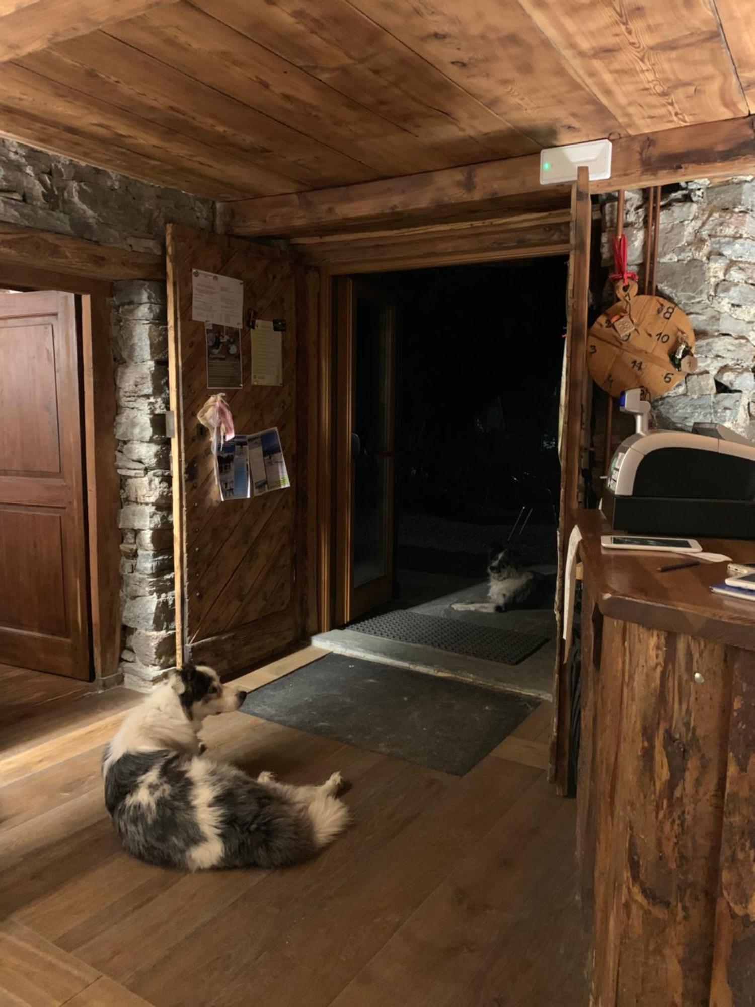 Chalet Del Lago Черезоле-Реале Экстерьер фото