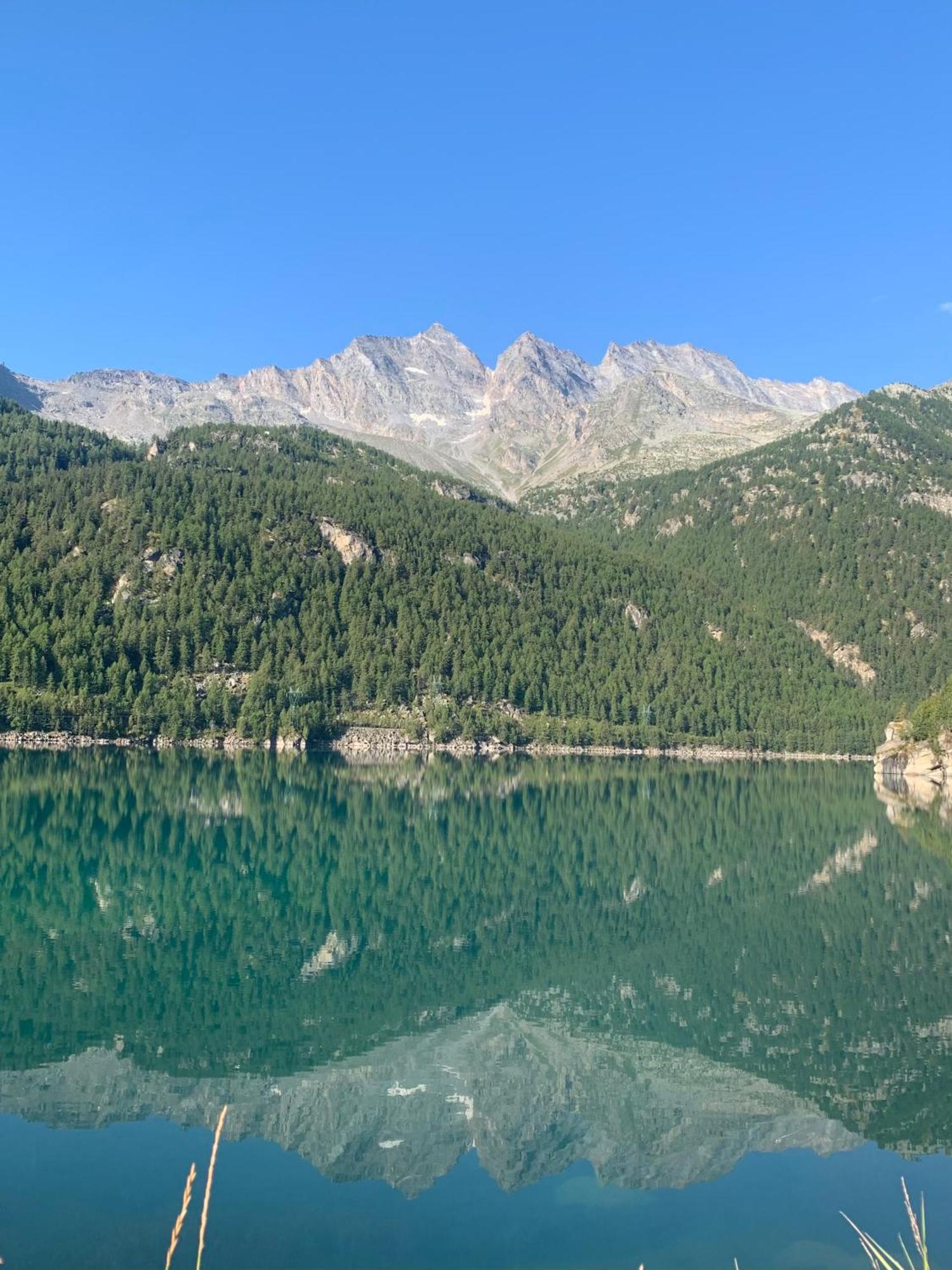 Chalet Del Lago Черезоле-Реале Экстерьер фото